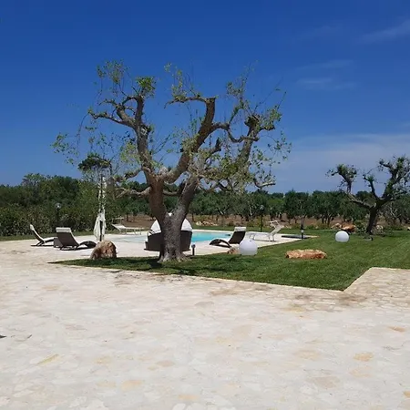 Giovanarolla With Pool Vila Ostuni